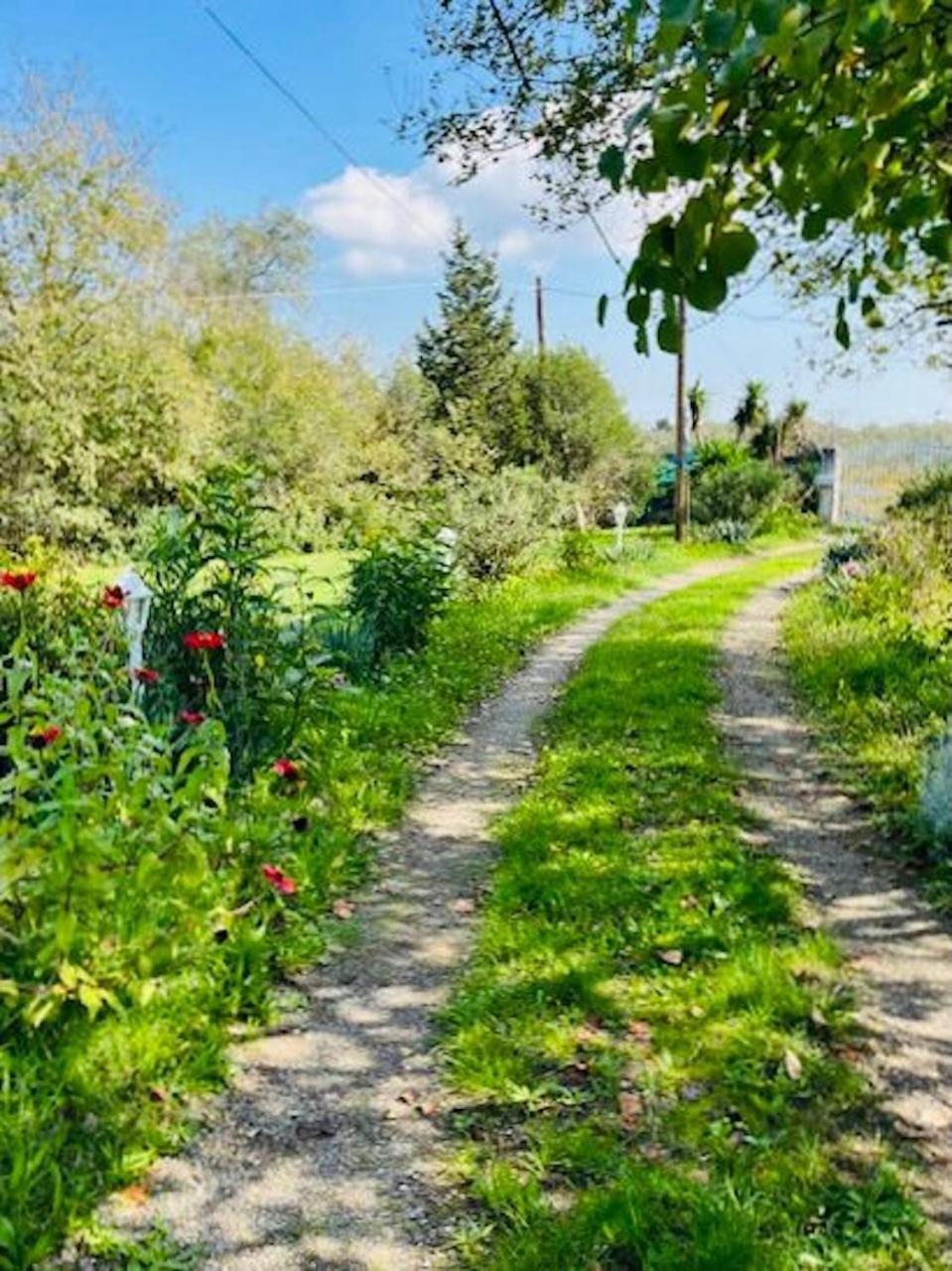 Ágios Ioánnis Cozy Corfu Bungalow 5 Minutes To Aqualand מראה חיצוני תמונה